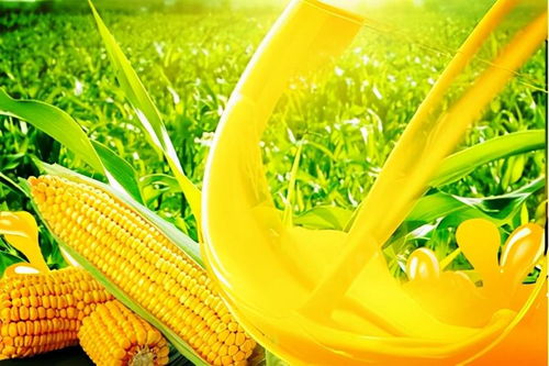 吉林食品工业公司股权转让及其对农副产品销售的影响