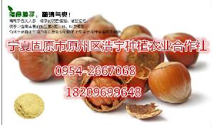 纯野生山核桃 价格、品牌与销售指南