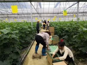 万山搭建平台畅通销路，助力百姓增收农副产品销售