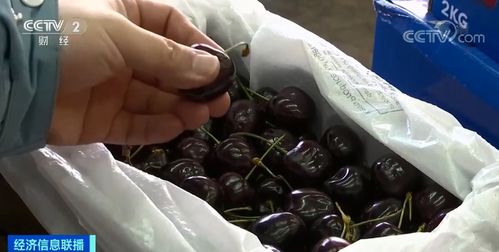 车厘子价格腰斩，榴莲价格创新高 农副产品市场波动解析