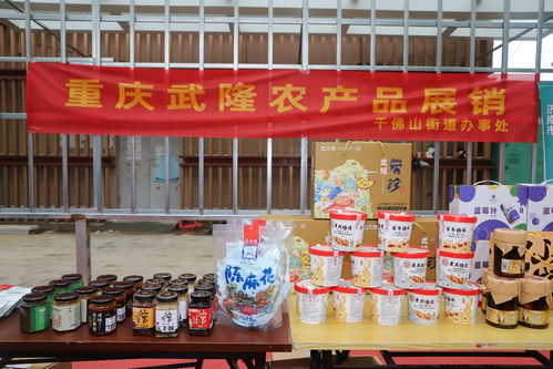 历下区千佛山街道东西部协作农特产品惠民专场助力农副产品销售