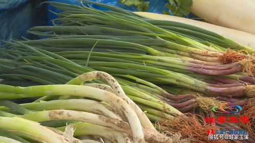 农副产品年货采购热潮来临，价格稳中有降，销售市场繁荣