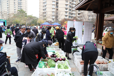 垃圾分类科普进社区，绿色生活与农副产品销售同绘美好家园