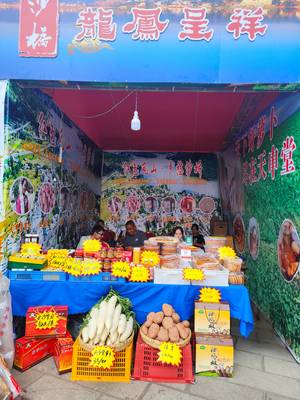 地道“沙桥味道”飘香展销会 农特产品推介助力乡村振兴